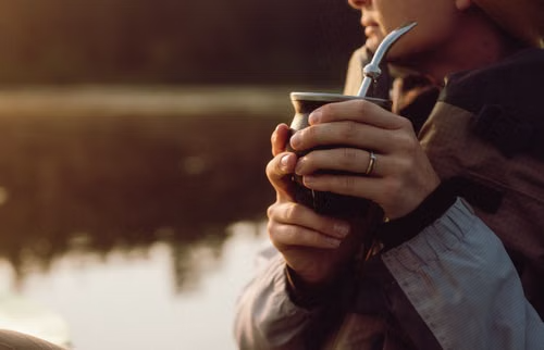 The Beginner's Guide to Drinking Yerba Mate Every Day