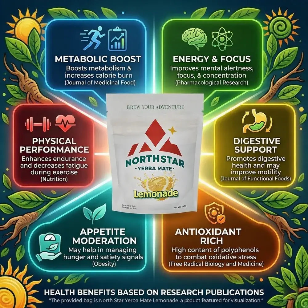 North Star Yerba Mate Lemonade – Natural & Refreshing Energy Drink (100g)
